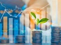 净流入38亿！金属铜大幅增仓