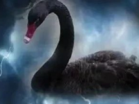 刚刚，全线暴跌！黑天鹅，突袭！