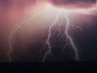 黑天鹅突袭！刚刚，全线杀跌！