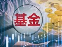 一只指数衍生6种产品！公募“一指多发”再迎新赛道